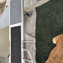 $20 Dog seesaw/ dog agility training equipment