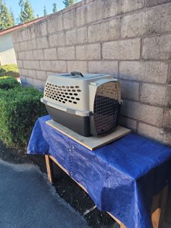 Dog Kennel cab