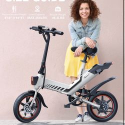 Electric Bike