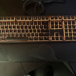 RAZER ORNATA V2 
