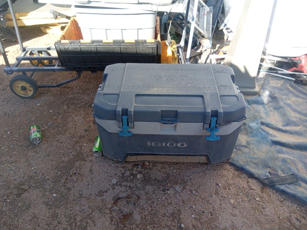 Igloo Cooler