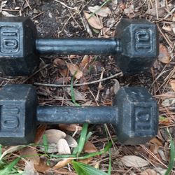 Two 10lb Dumbbells 