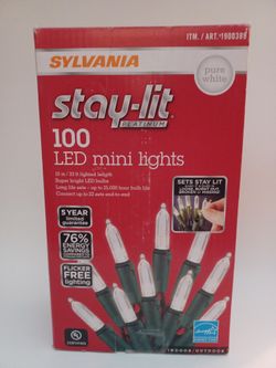 Stay Lit / Christmas Lights / Luces De Navidad