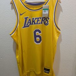 Nike Swingman LA Lakers LeBron James 6 Jersey 