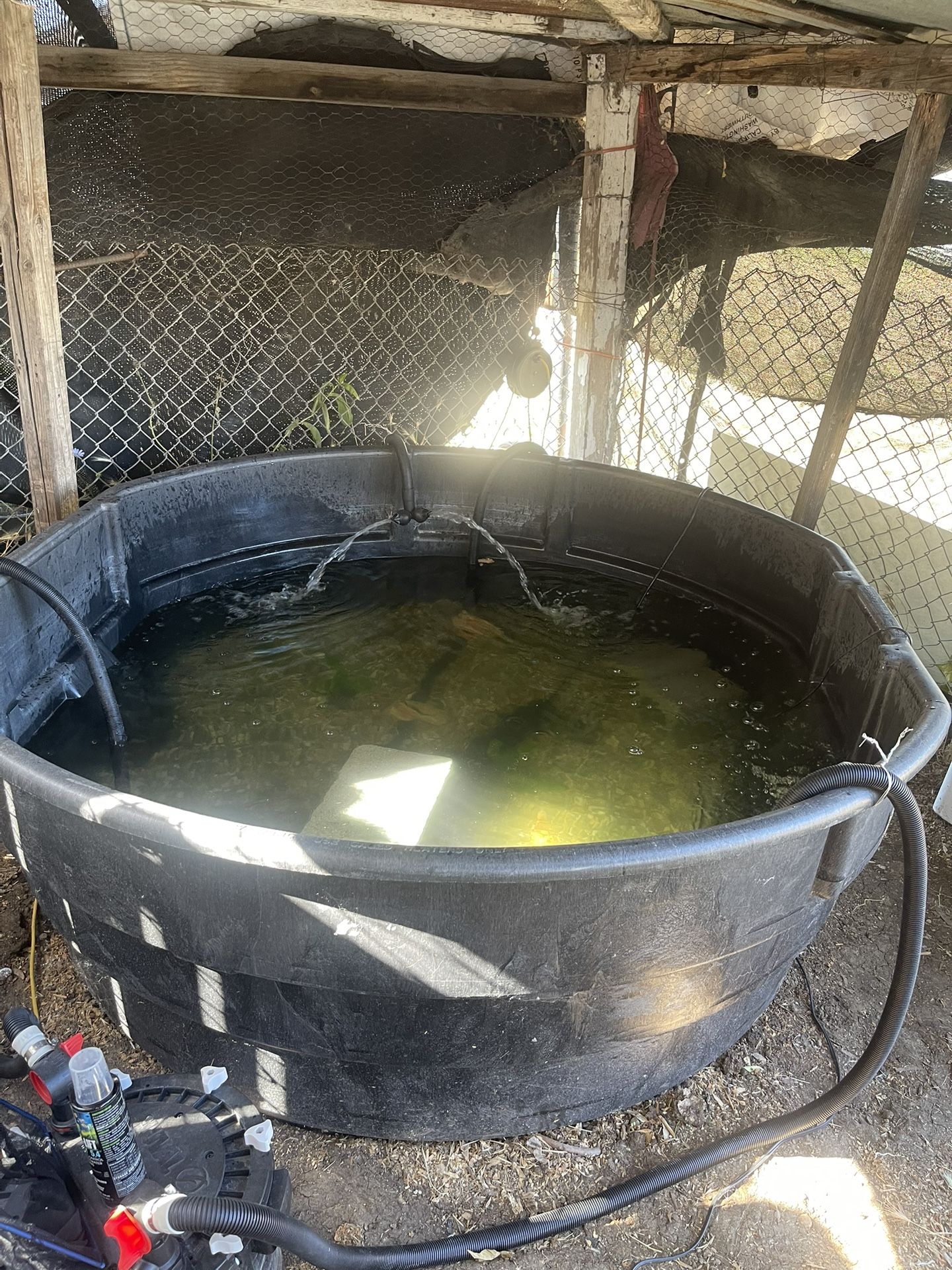 Stock Pond/ Fish Tank