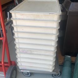 Pizza Tray With Lid