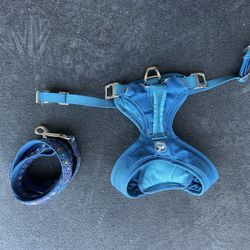 Dog Harness And Leash- Small