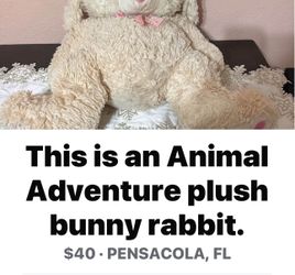 Adventure Plus Rabbit 