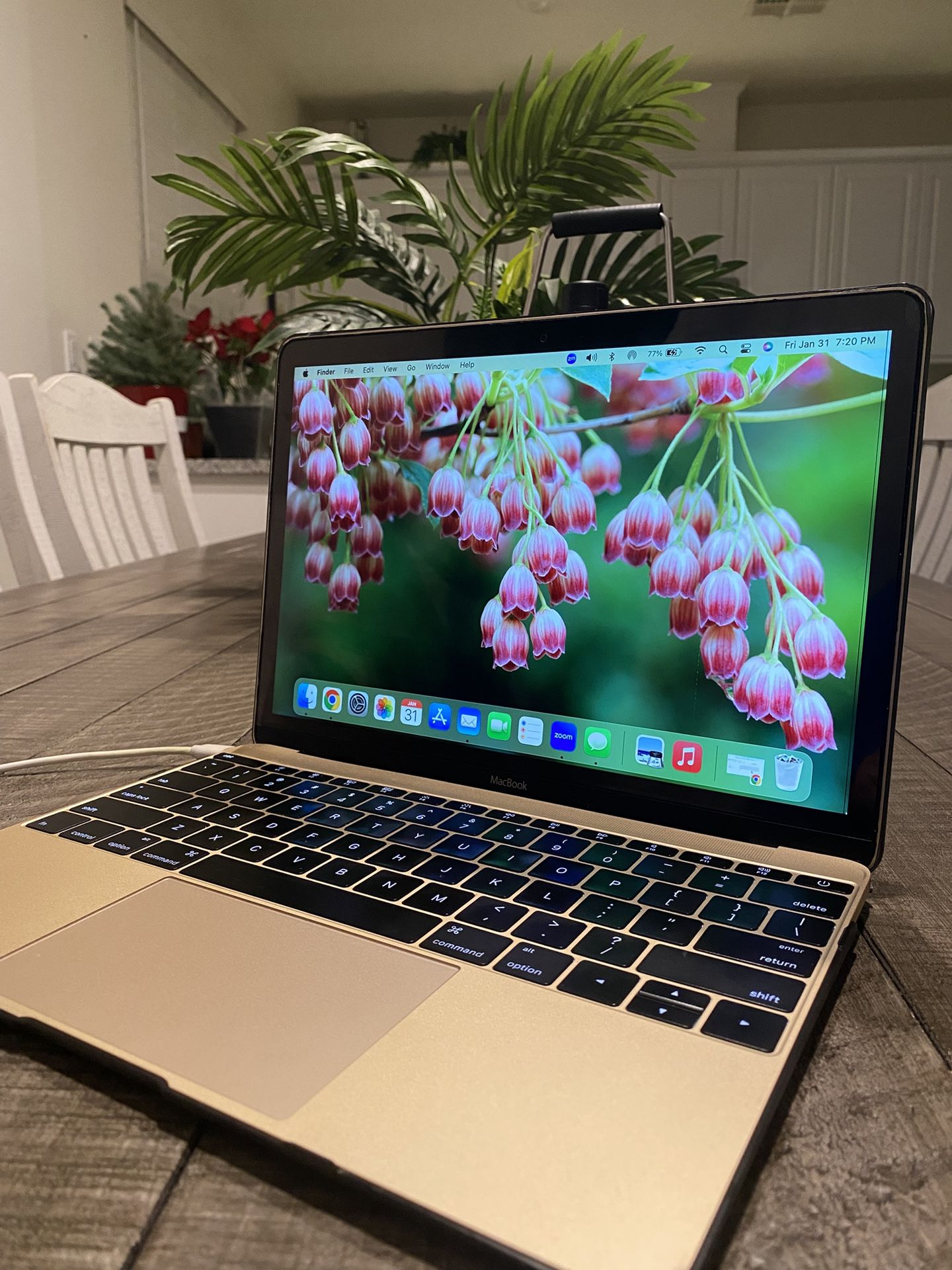 MacBook (Retina, 12 -inch, Early 2016) Gold 8GB 512GB