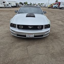 2005 Ford Mustang