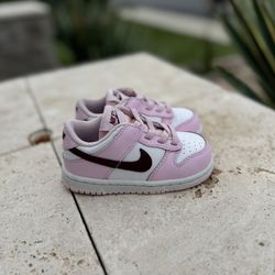 Toddler Nike Dunks 
