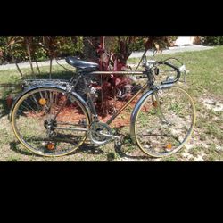 12 Speed  Peugeot Carbonlite 103