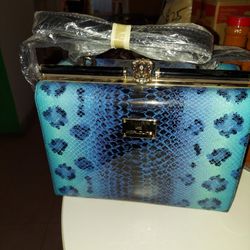 New Beautiful Purse Blue
