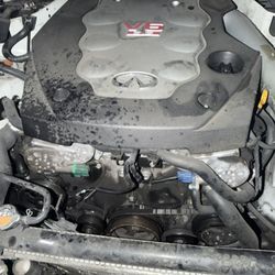 Rev Up Engine Hear It Run Before You Buy
