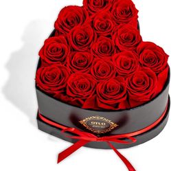 Brand New! 16 Preserved Roses in Heart-Shaped Box