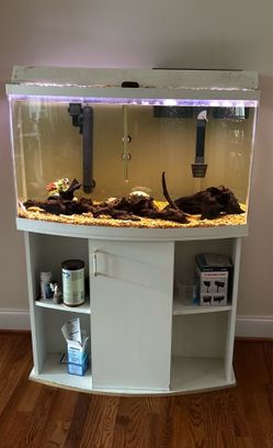 46 gallon bow front aquarium with stand