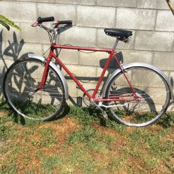 Adult Bike