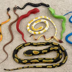 Snake Set