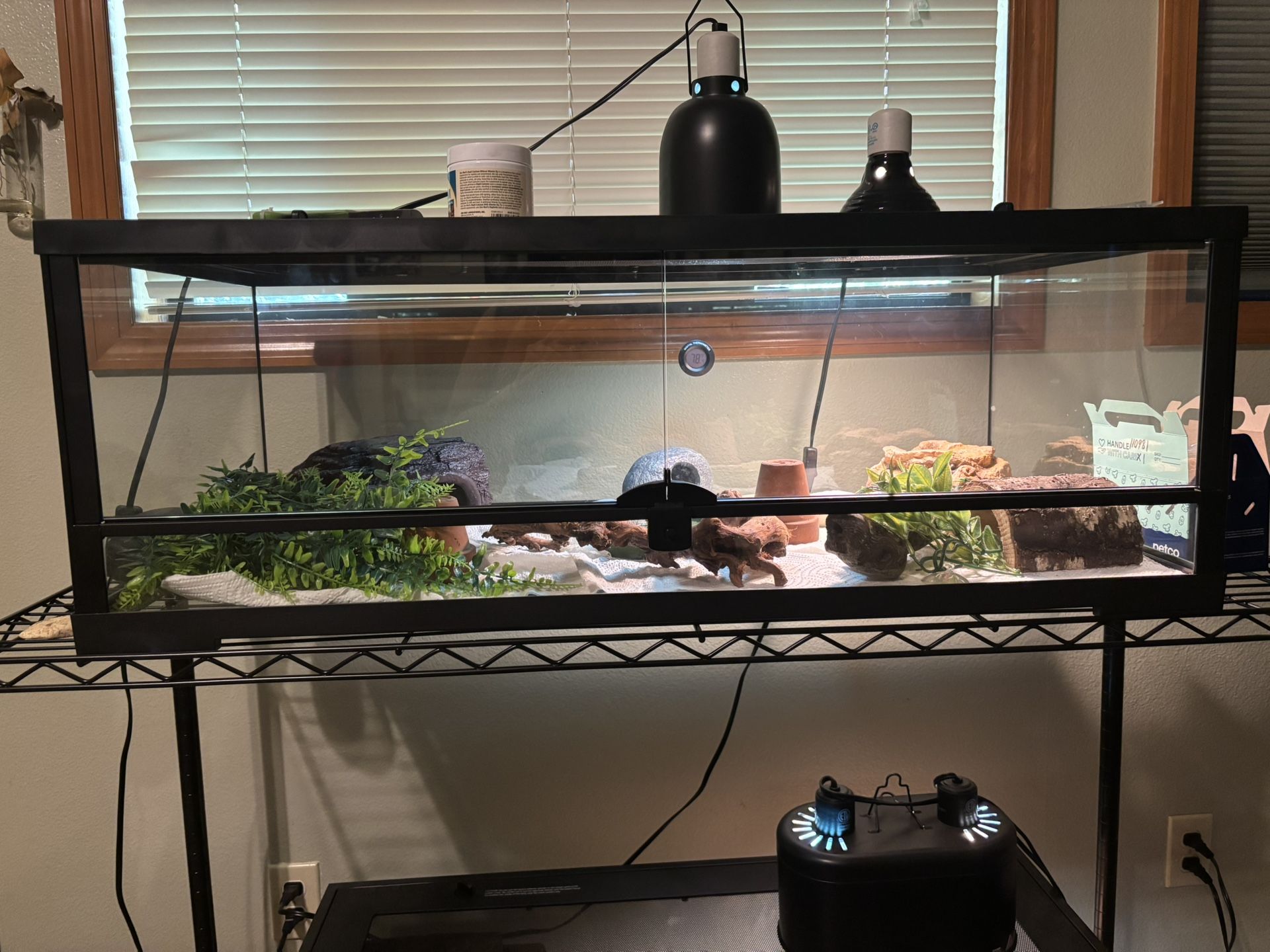 Front Opening Terrariums (36”x18”x12”) w/ Supplies