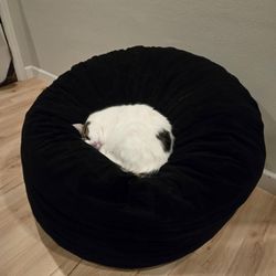 Giant Bean Bag 