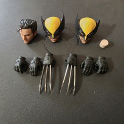 1/12 Wolverine headsculpts and hands set.