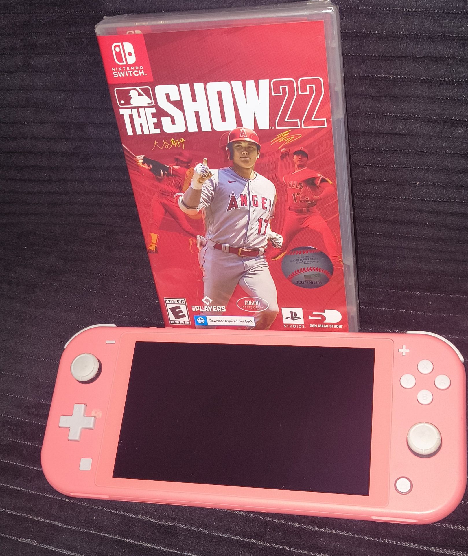 Nintendo switch lite