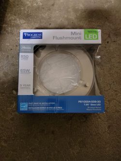 Mini Flushmount Light