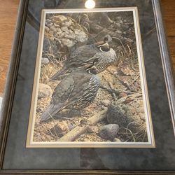 Carl Brenders California Quail Limited Print