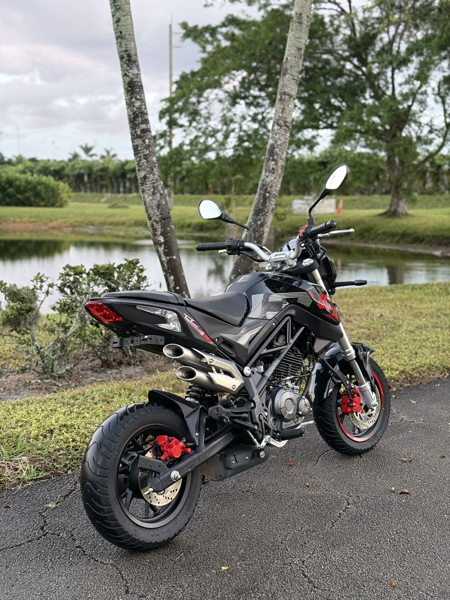 2024 Benelli TNT 135