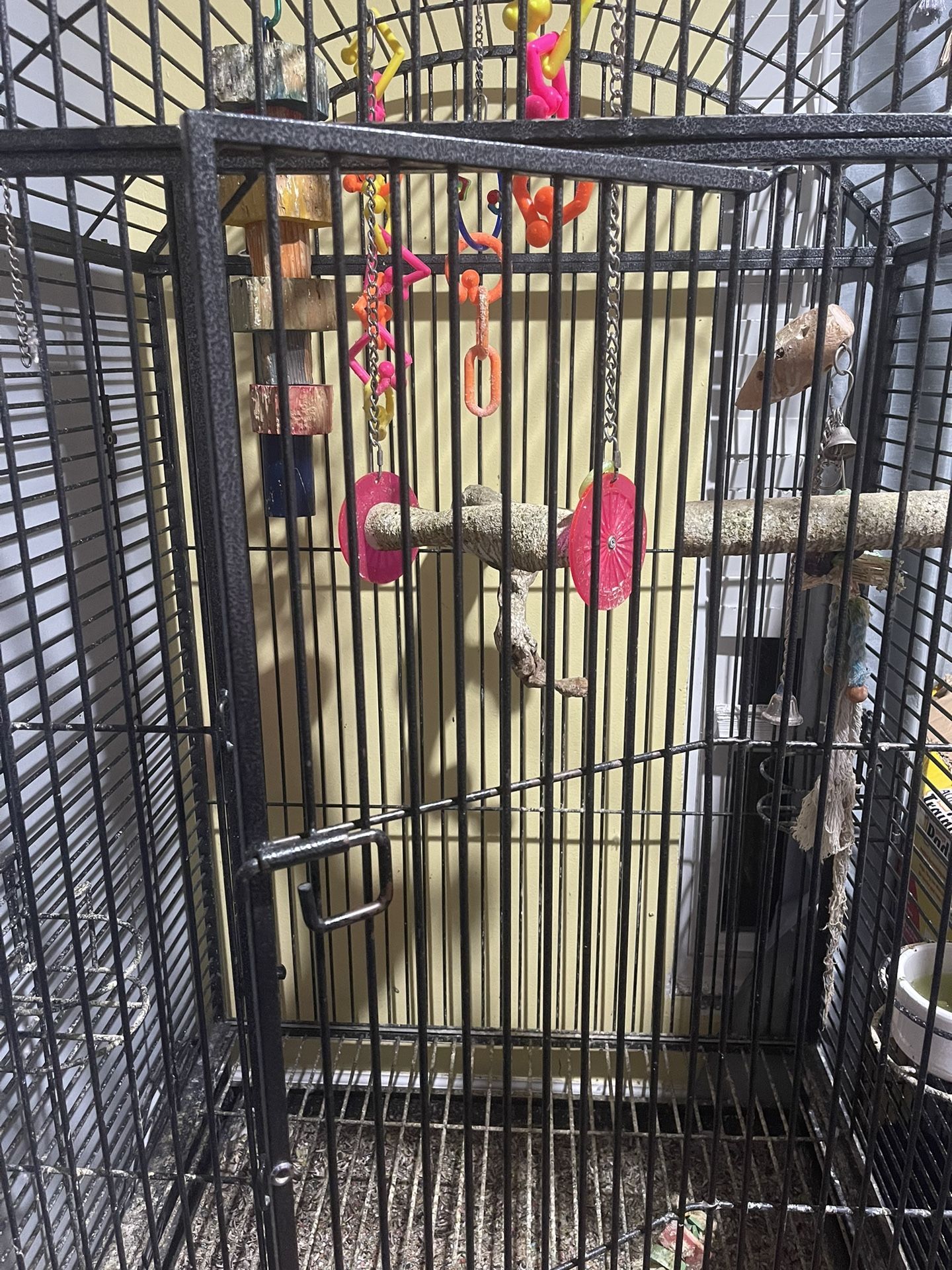 Bird Cage