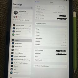 iPad Air 11inch