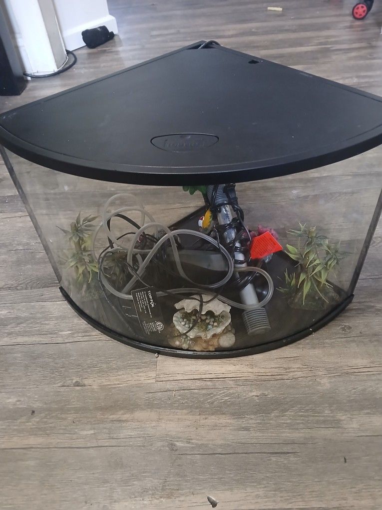 Great Price Corner Fish Tank