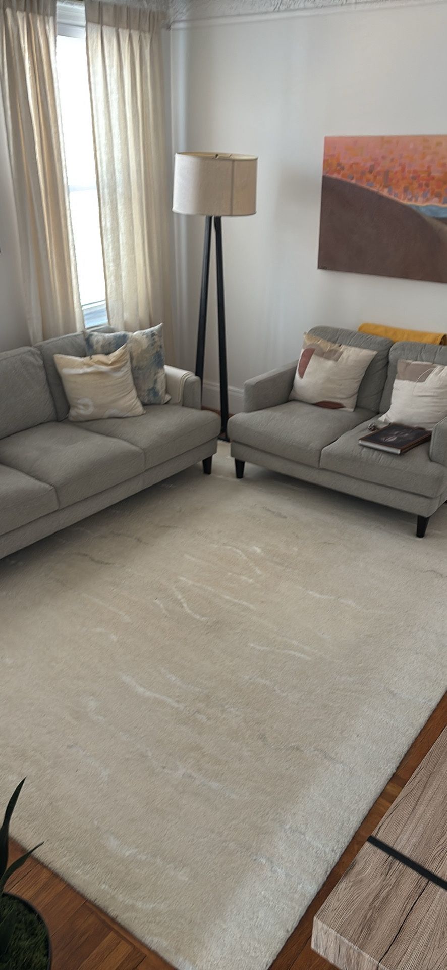 Living room rug (Wool & silk)