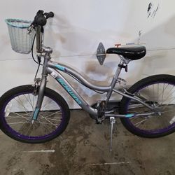 20 In Schwinn Bike In Great Shape