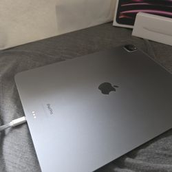 IPAD PRO 12.9 INCH (6th GENERATION 256GB