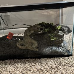10 Gallon Fish Tank