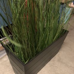Artificial Plants / Home Decor 