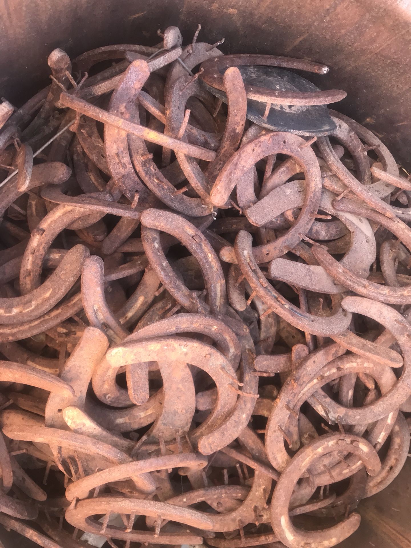 Horseshoes $1 each