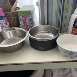 Dog food plates