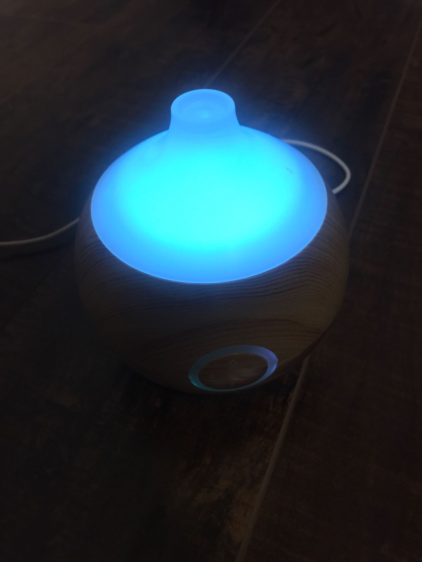 Humidifier/ steamer