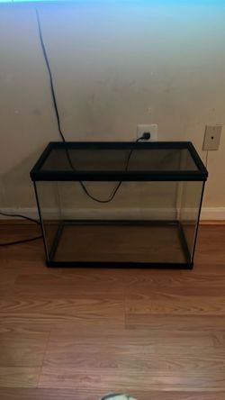 20 gallon tank