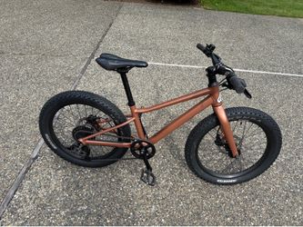 BMC kids 20 inch mountain bike