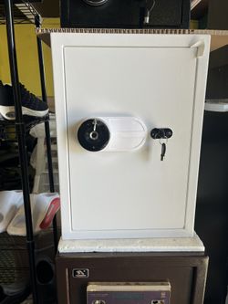 TIGERKING Large Biometric Safe Fingerprint Security Safe Box for Home, Hotel, Office - White 【Built-in LED Light】: The inner Led light pro