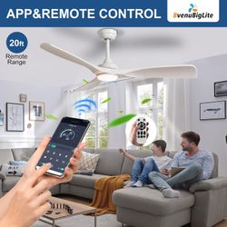 Smart Ceiling Fan with Light 52 Inch White