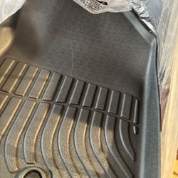 Floor Mat And Cargo Liner 