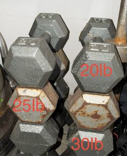 TODAY ONLY - Olympic Plates, dumbbells, bars