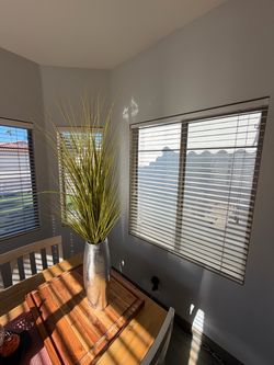 Decorative grass plant and planter
