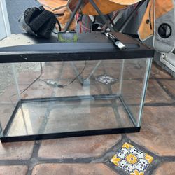 10 Gallon Fish Tank 