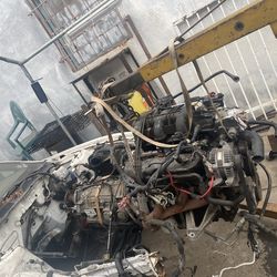 Mustang Transmission