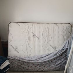 Queen Size Bed & Box spring 